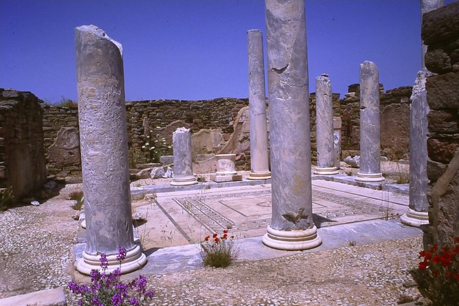 DELOS, the Island of God Apollo - Traveler Reviews and Testimonials