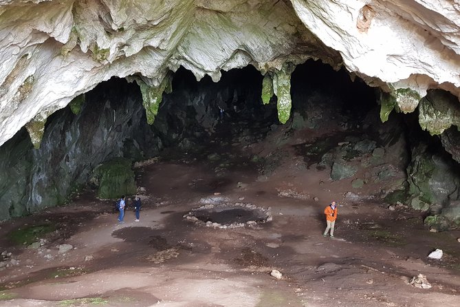 Delphi and Thermopylae (“300” Battlefield) Small-Group Tour - Athens - Knowledgeable Guides