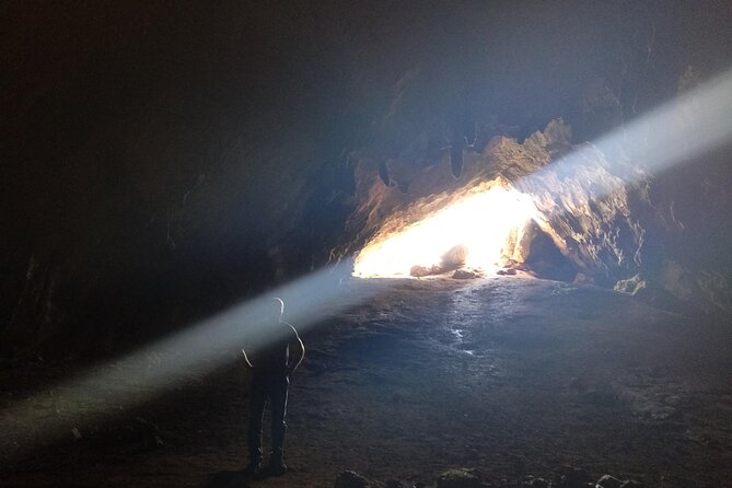 Delphi & Corycian Oracle Leonidas & 300 Battlefield Private Tour - Archaeological Sites & Museums