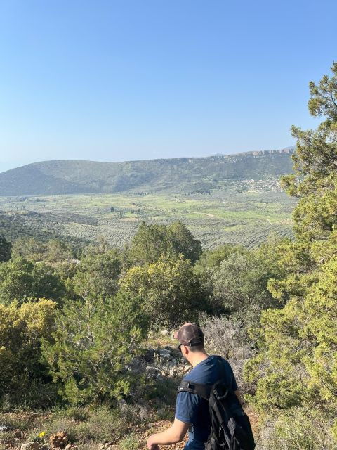 Delphi: Easy Hike From the Monastery to the Mycenaean Tomb - Highlights