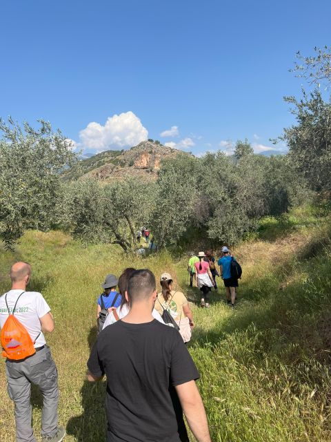 Delphi: Easy Hike From the Monastery to the Mycenaean Tomb - Important Information
