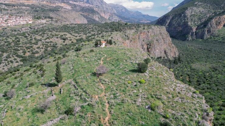 Delphi: Easy Hike on Ancient Path Through the Olive Groves - Live Tour Guide and Cancellation Policy