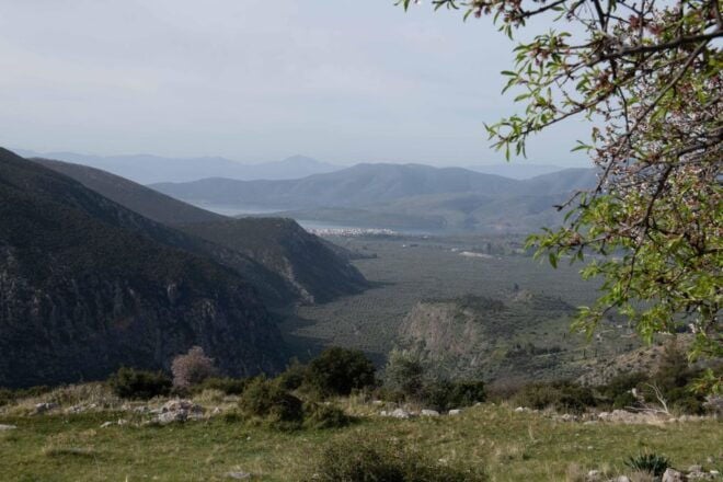 Delphi: Easy Hike on Ancient Path Through the Olive Groves - Meeting Point and Information