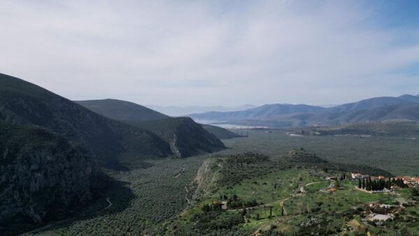 Delphi: Easy Hike on Ancient Path Through the Olive Groves - Logistics and Recommendations