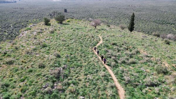 Delphi: Easy Hike on Ancient Path Through the Olive Groves - Frequently Asked Questions