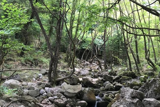 Delphi Full Day Private Tour 4seat - Directions