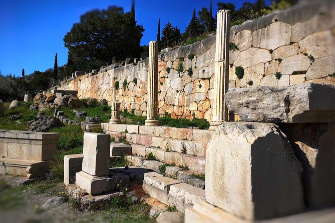 Delphi Full Day Private Tour - Customer Reviews