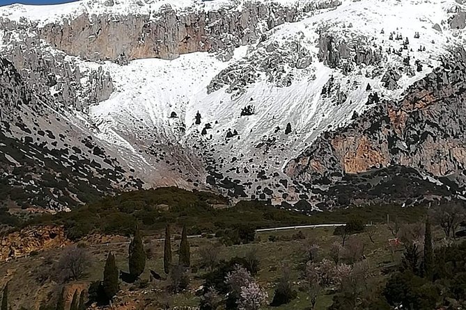 Delphi Full Day Private Tour: Temple of Apollo, Museum, Navel of Earth & Oracle - Common Questions