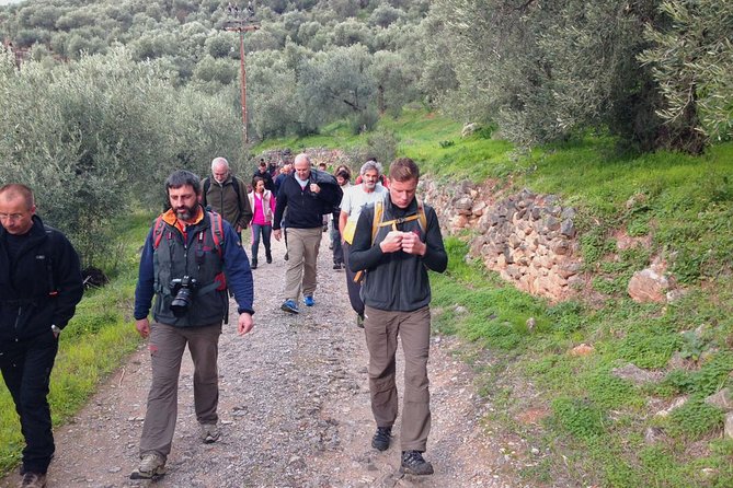 DELPHI & METEORA 3-Day Combined Hiking & Sightseeing Tour - Compare Similar Experiences