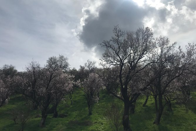 Delphi Private Full-Day Trip From Athens - Weather and Refunds