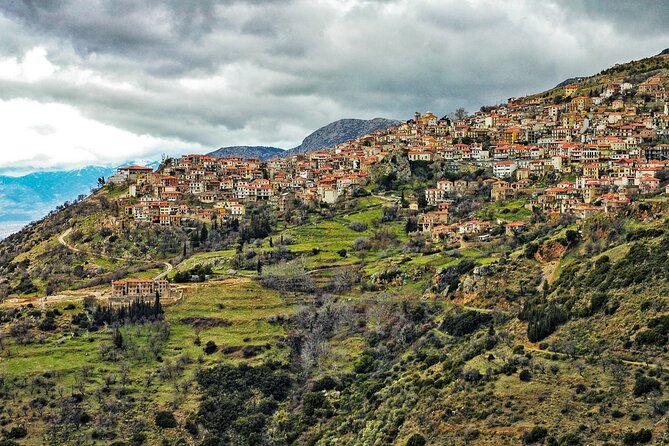 Delphi, Spanish Guided One Day Tour - Reviews