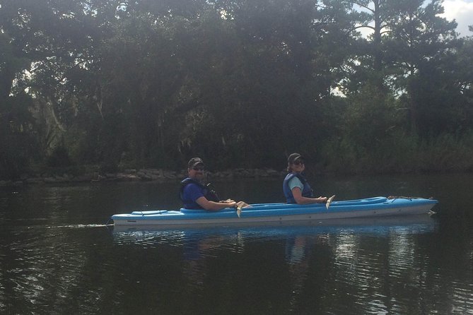 Delta Wildlife Kayak Tour - Tour Overview