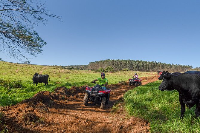 Deluxe ATV Waterfall and Swim Experience - Tour Overview