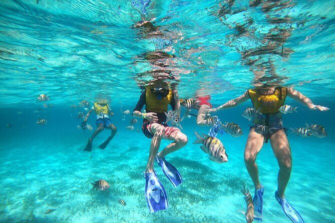 Deluxe Catamaran to Isla Mujeres with Open Bar from Cancun - Final Thoughts: Is It Worth It?  