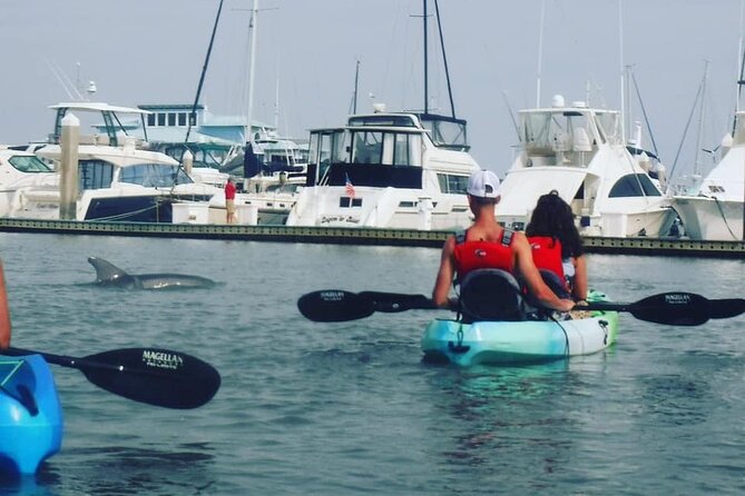 Deluxe Dolphin Kayak Tour - Traveler Photos
