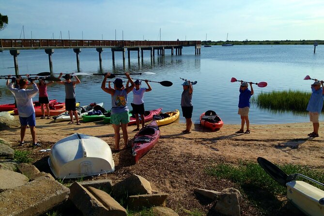 Deluxe Dolphin Kayak Tour - Tour Highlights and Itinerary
