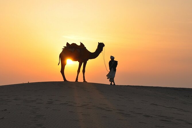 Deluxe Dubai Desert Safari With BBQ Dinner - The Sum Up