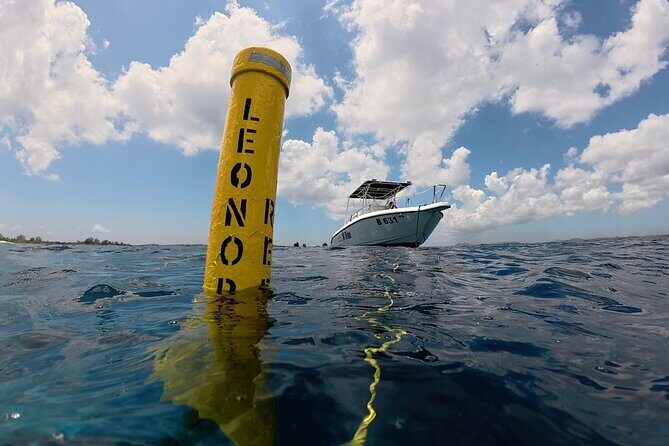 Deluxe Half Day Private Charter Adventure in Bonaire - FAQ