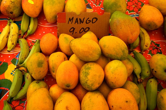 Deluxe Halfway to Hana: Private Tour From Kahului - Customer Reviews and Recommendations