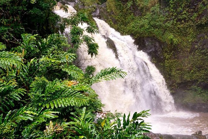 Deluxe Halfway to Hana: Private Tour From Kahului - How to Book Your Private Tour