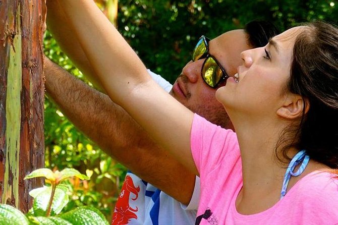 Deluxe Halfway to Hana: Private Tour From Kahului - Common Questions