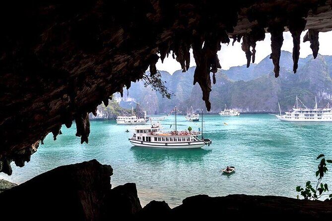 DELUXE Halong Bay Day Tour From Hanoi, Daily Operated 2025 - 2026 - The Sum Up: Is It Worth It?