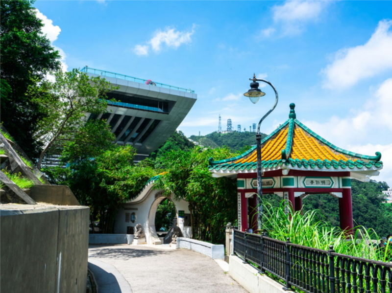 Deluxe Hong Kong Day Tour: Priority Peak Tram, City Walk & Dim Sum - Dim sum and the cruise depend on your package