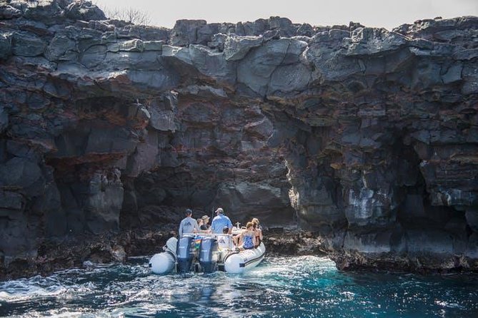 Deluxe Morning Snorkeling Adventure - Logistics and Policies