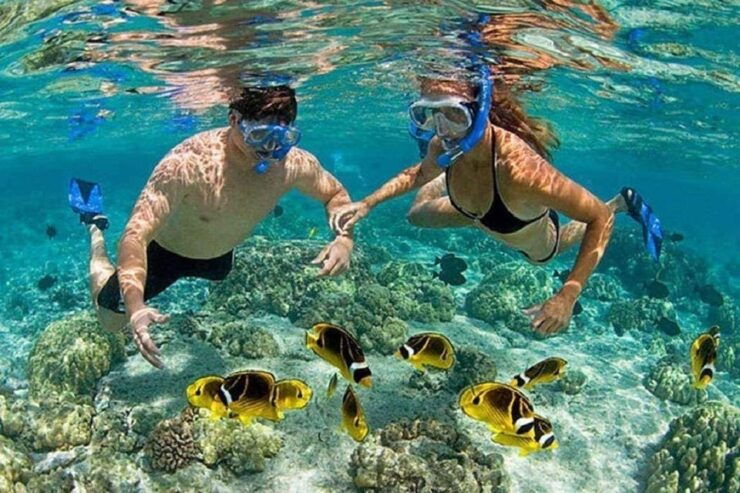 Deluxe Ocean Tour Snorkeling & BBQ & Mud Bath - Daily Itinerary Schedule