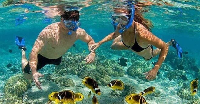 Deluxe Ocean Tour Snorkeling & BBQ & Mud Bath - Snorkeling Adventure Details