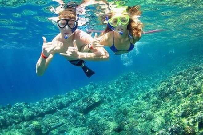 Deluxe Ocean Tour Snorkeling & BBQ & Mud Bath - Relaxation at Hon Tam Resort