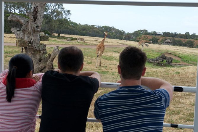 Deluxe Safari Adventure at Werribee Open Range Zoo - Excl. Entry - Safari Experience Highlights