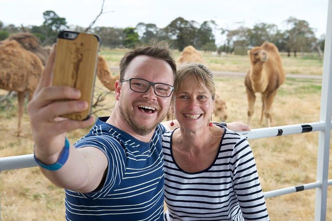 Deluxe Safari Adventure at Werribee Open Range Zoo - Excl. Entry - Common Questions