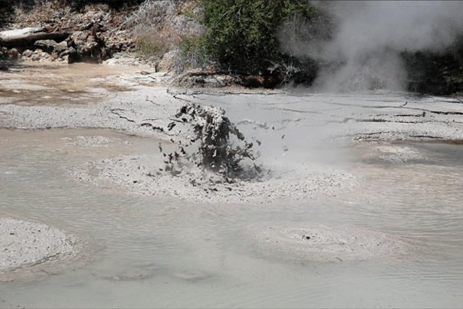 Deluxe Small Group Cruise Day Tour, Rotorua, Tauranga & Mt Maunganui Highlights - Positive Reviews of the Tour Guide