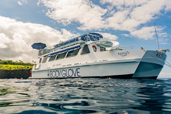 Deluxe Snorkel & Dolphin Watch Aboard a Luxury Catamaran From Kailua-Kona - Overview and Experience