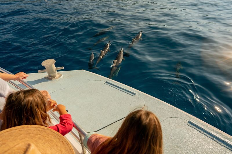 Deluxe Snorkeling & Dolphin Watching Experience in the Big Island - Breakfast and barbecue lunch help make it a full outing