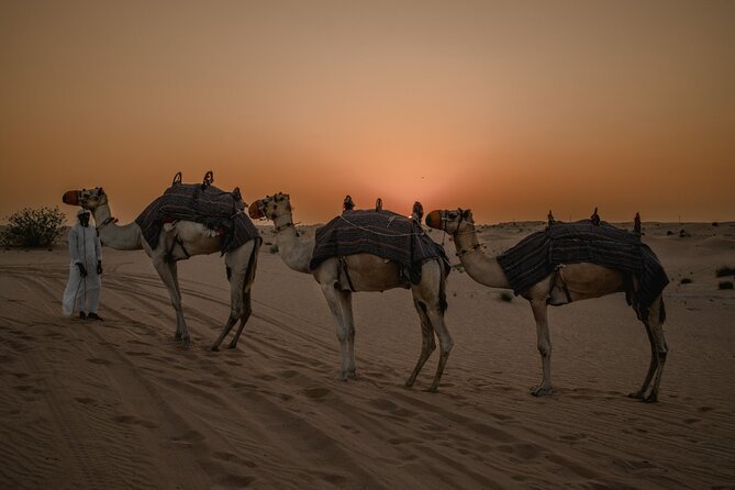 Deluxe Sunset Desert Safari: Sandsurfing, Camel Ride & BBQ Dinner - Adventure Activities