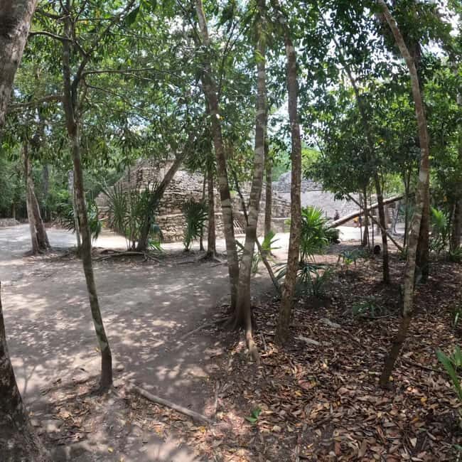 Deluxe Tulum, Coba & 5th Avenue from Cancun - The Lunch Break