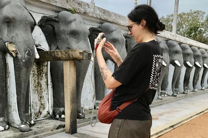 Delve Into Ancient Anuradhapura with Optional Visit to Mihintale - Who Should Book This Tour?