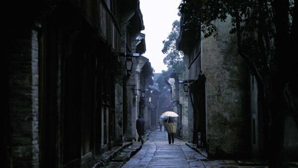 Delve Into Wuzhen Water Town: Private Tour From Shanghai - Recommendations