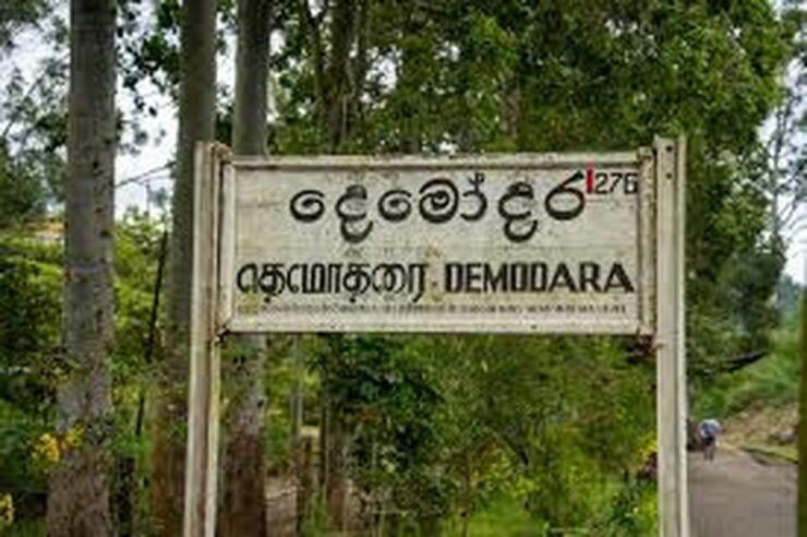 Demodara Railway Station to Ella Hotel TukTuk Transfer - Experience the Transfer