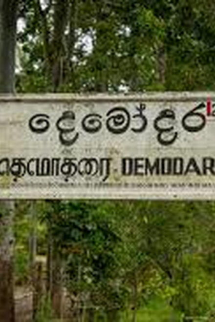 Demodara Railway Station to Ella Hotel TukTuk Transfer - Whats Included and Excluded