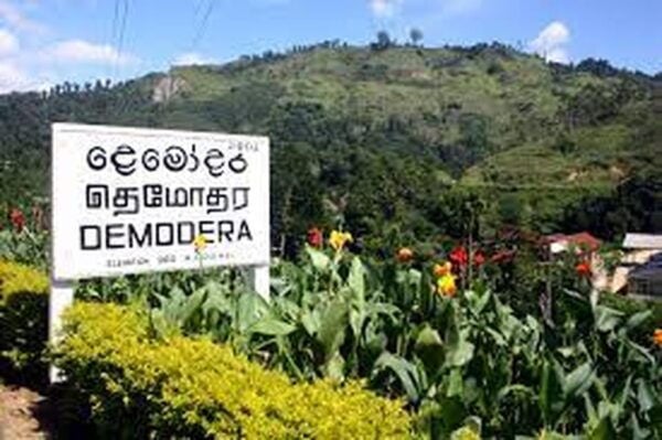 Demodara Railway Station to Ella Hotel TukTuk Transfer - Scenic Attractions Along the Route