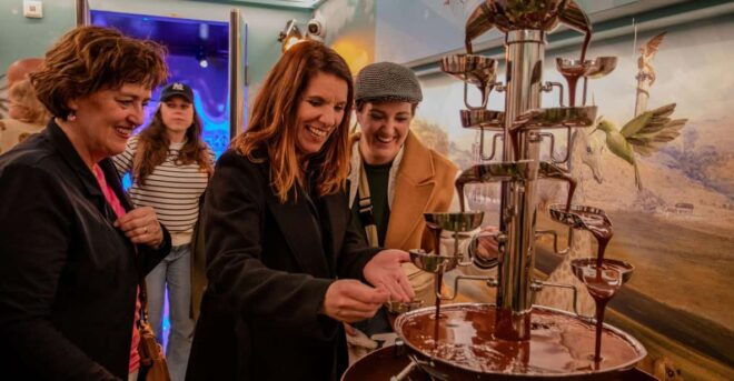Den Bosch: Bossche Bollen Experience - Reserving and Accessing the Experience