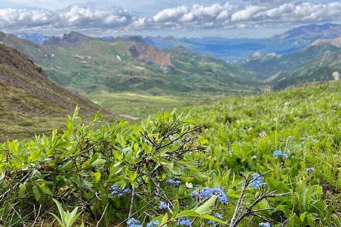 Denali 4 Hour Hiking Adventure with Naturalist Guide - Good To Know