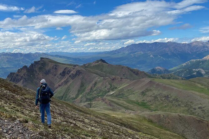 Denali 4 Hour Hiking Adventure with Naturalist Guide - What Makes This Tour Special?
