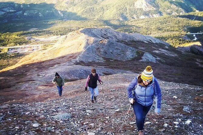 Denali 4 Hour Hiking Adventure with Naturalist Guide - Summary