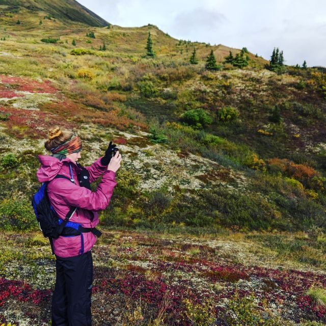 Denali: 5-Hour Guided Wilderness Hiking Tour - Activity Details