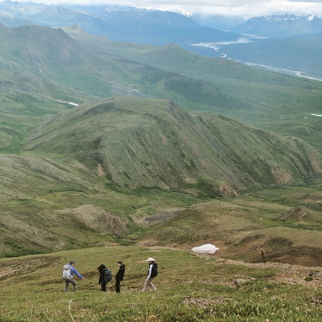 Denali: 5-Hour Guided Wilderness Hiking Tour - Panoramic Views of Denali
