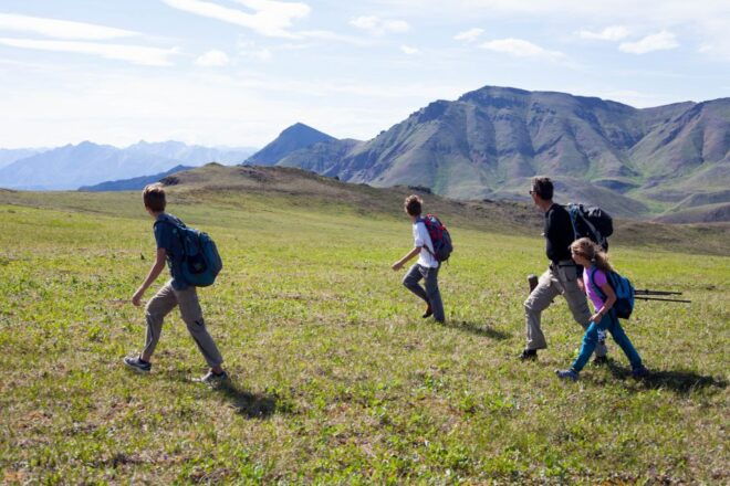 Denali: 5-Hour Guided Wilderness Hiking Tour - Exploring Alaskas Wilderness